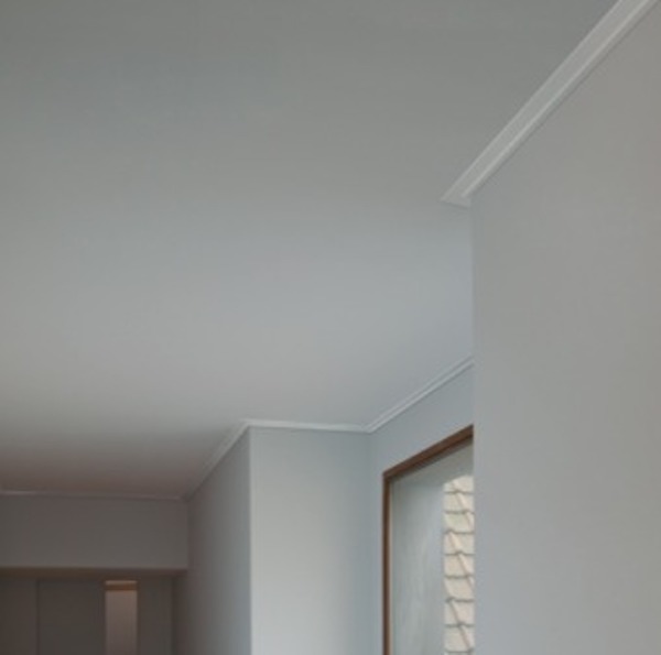 C356 Coving
