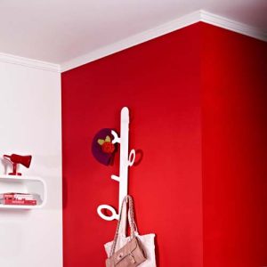 CB531 Coving