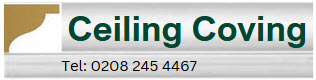 Ceiling Coving