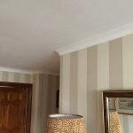 CX100 Coving