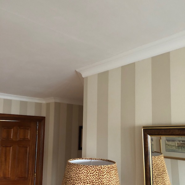 CX100 Coving