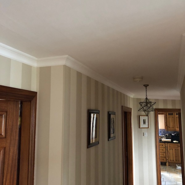 CX100 Coving