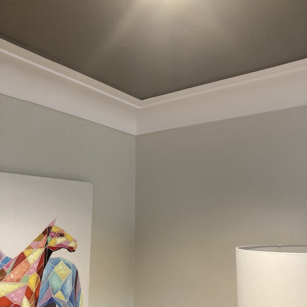 WT22 Coving