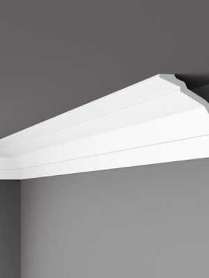 WT24 Coving
