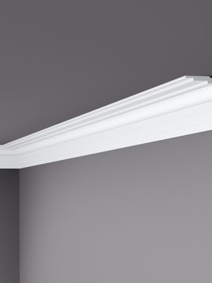 WT25 Coving