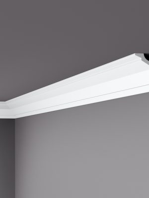 WT26 Coving