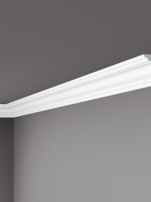 WT5 Coving