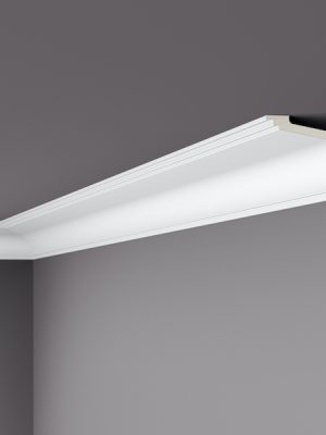Z17  Coving
